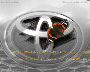 Бабочка адмирал на логотипе Тойоты